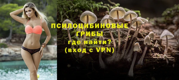 mdpv Костерёво