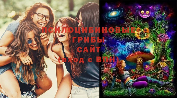герыч Коряжма