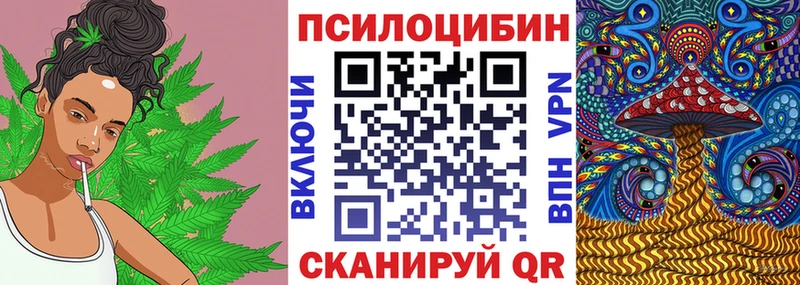 Купить  Вилюйск  Псилоцибиновые грибы мицелий 